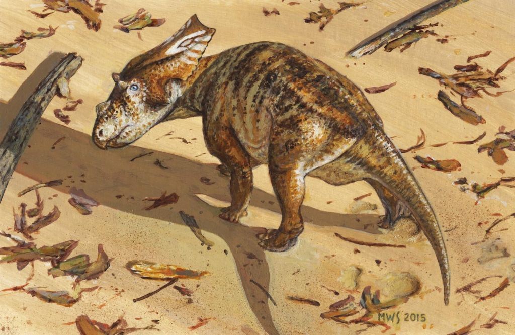 baby-chasmosaur-skrepnick-1024x666
